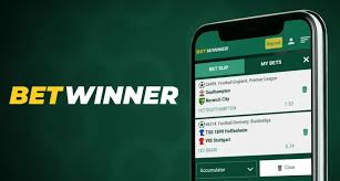 BetWinner Bookmaker A Comprehensive Guide
