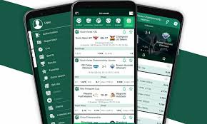 BetWinner Bookmaker Your Ultimate Betting Experience